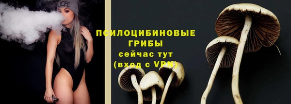 СК Медвежьегорск
