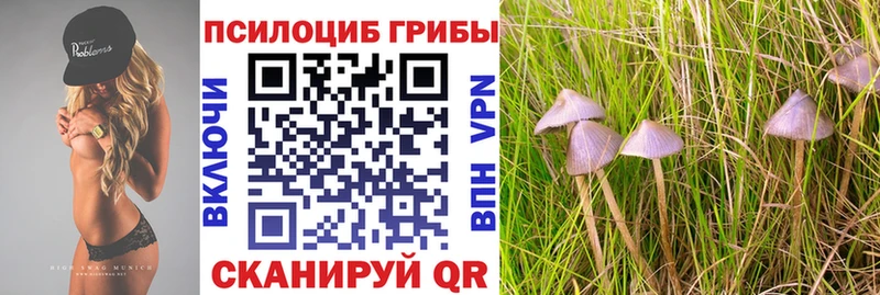 как найти наркотики  Донецк  Псилоцибиновые грибы мухоморы 