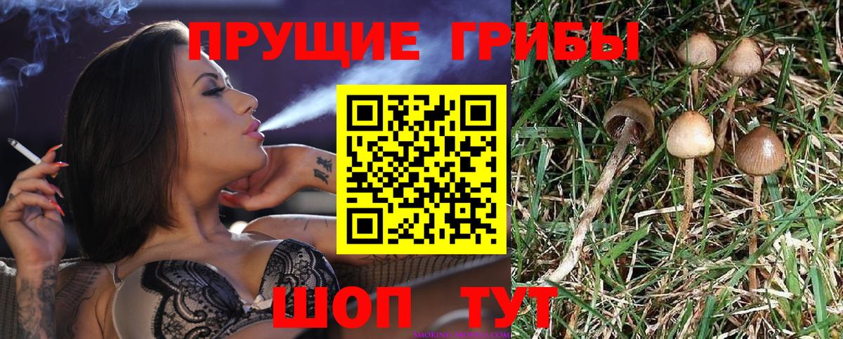 Галлюциногенные грибы MAGIC MUSHROOMS Донецк