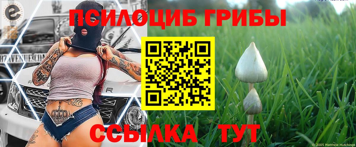 Донецк  Псилоцибиновые грибы мухоморы  Вход с VPN 